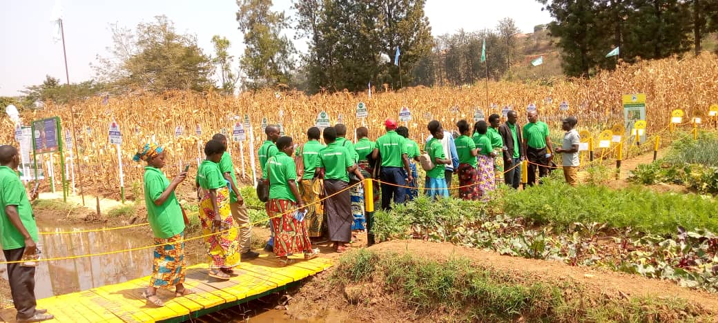 kenyan%20seed%20Company%20Rwanda