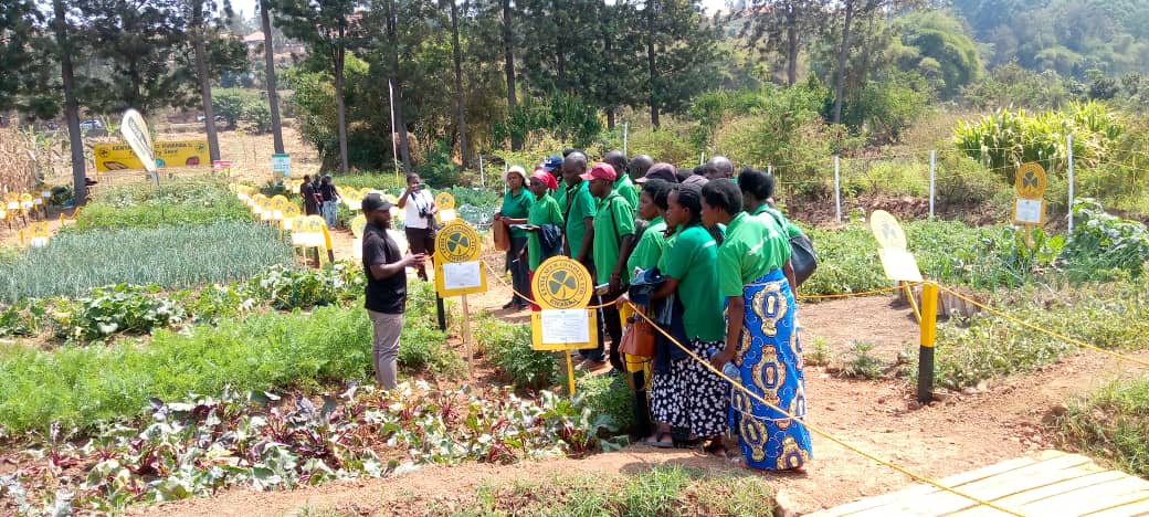 kenyan%20seed%20Company%20Rwanda