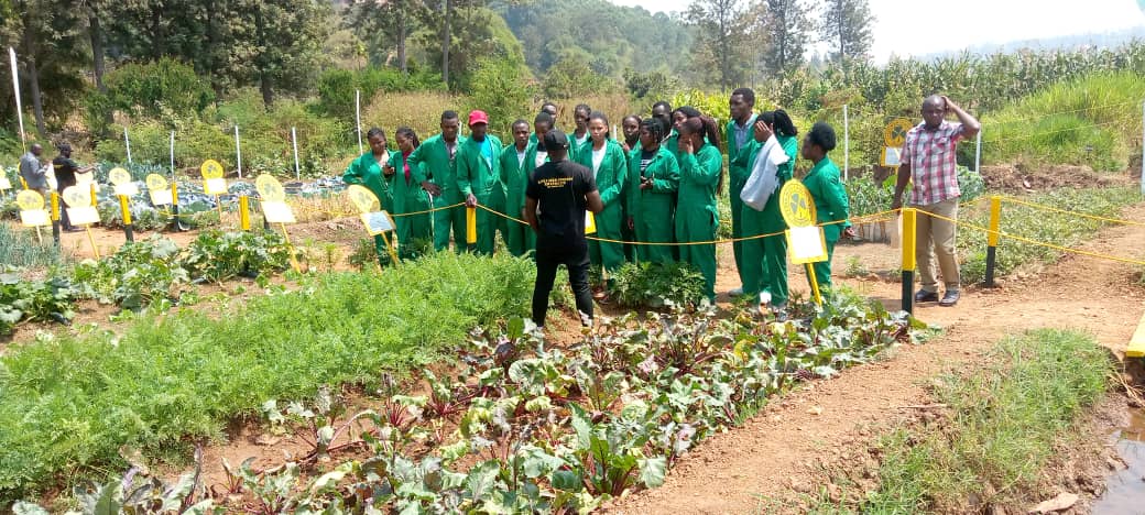 kenyan%20seed%20Company%20Rwanda