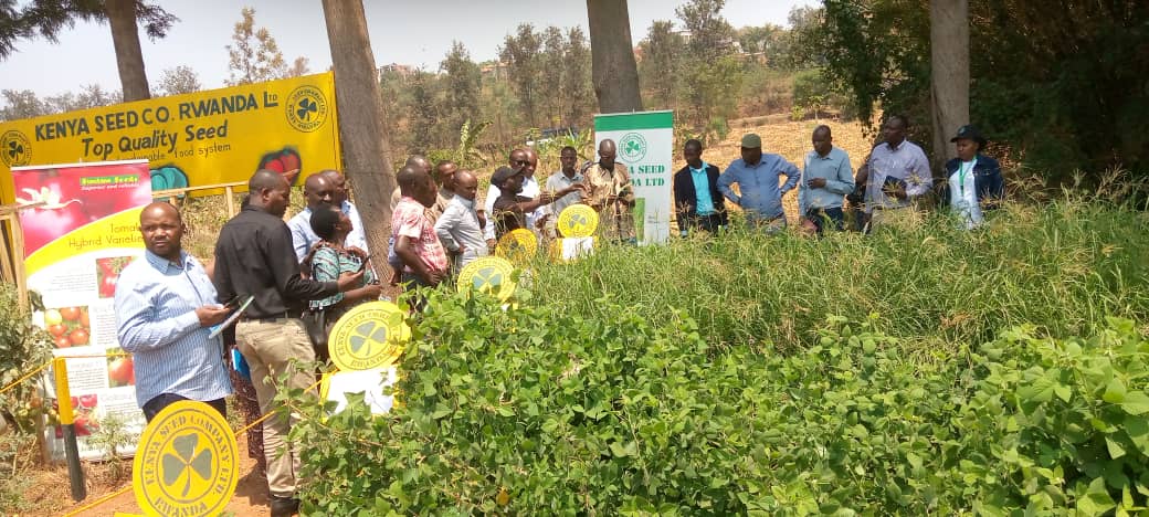 kenyan%20seed%20Company%20Rwanda
