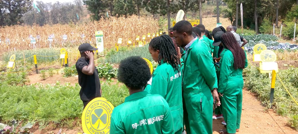 kenyan%20seed%20Company%20Rwanda